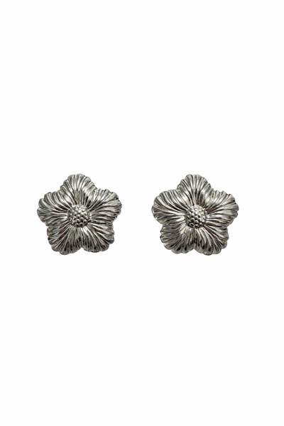 Aretes Margarita plateados